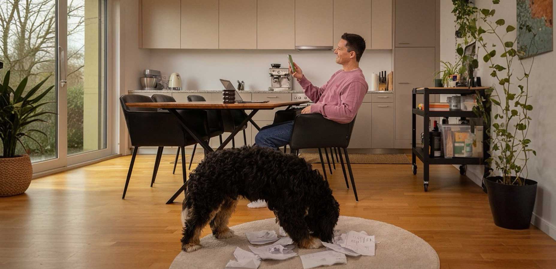 A person sits at a table in an open kitchen and looks at a smartphone; in the foreground, a dog stands on a rug with scattered papers. A person sits at a table in an open kitchen and looks at a smartphone; in the foreground, a dog stands on a rug with scattered papers.